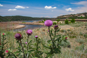 Colorado, cycling, bicycle touring, bicycle, Cortez